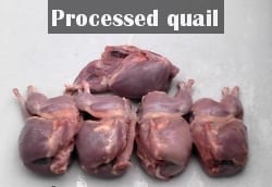 processed home grown quail