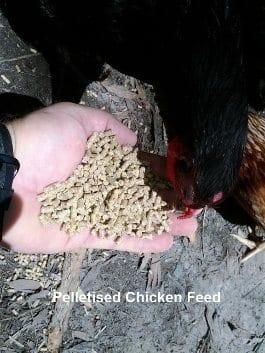 Pelletised Chicken Feed