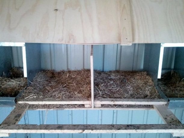 DIY nesting boxes