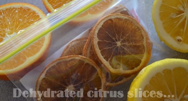 dehydrated citrus slices