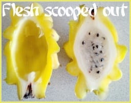 dragon fruit flesh scooped out