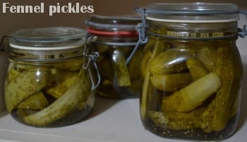 Fennel pickles cucumbers