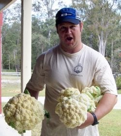 Lots of cauliflower yours truley