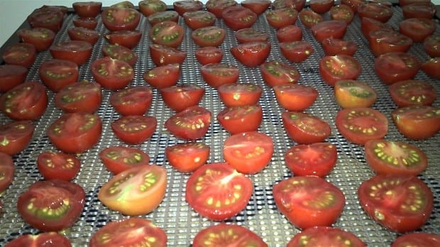 https://selfsufficientme.com/wp-content/uploads/2015/03/Halved_Cherry_Tomatoes_on_dehydrator_Tray_620.jpg