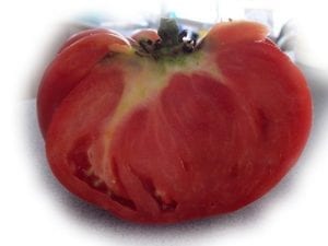 Italian Tree Tomato Half
