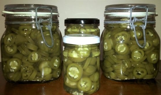 Pickled Jalapeno Chillies