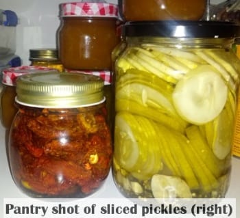pantry sliced pickles 