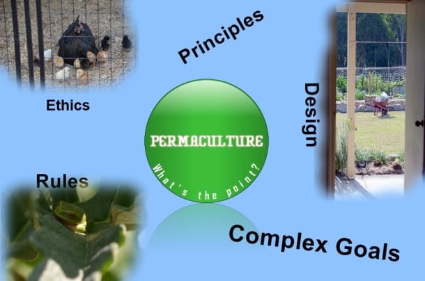 Permaculture what is the point graphic
