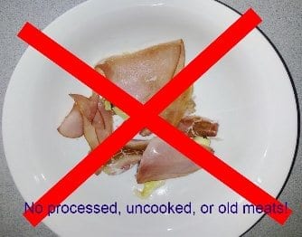 Uncooked or processed meat should not be fed to chickens