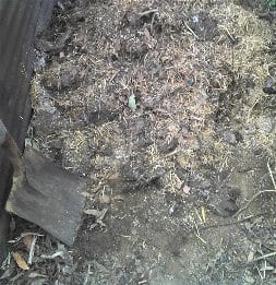 Chicken and quail manure