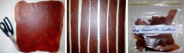 Fruit leather strips