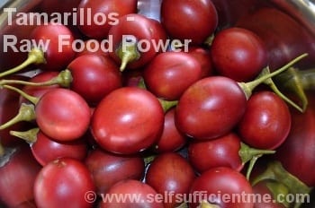Tamarillos raw food power