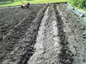 Tilled ground furrows