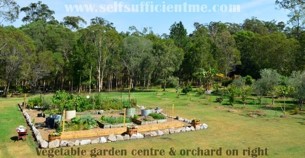 vegetable garden with orchard on right