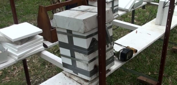 native stingless bee hive splitting process stage 1 two hive joined together
