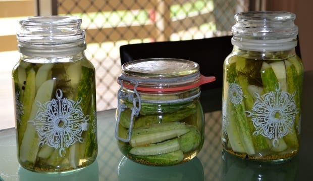 Home made pickled cucumbers using recycled jars
