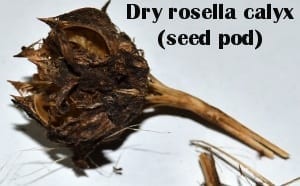 Rosella dry calyx (seed pod)