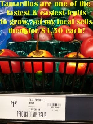 Tamarillo in local supermarket a rip off at $1.50