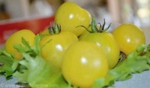 yellow cherry tomato lettuce