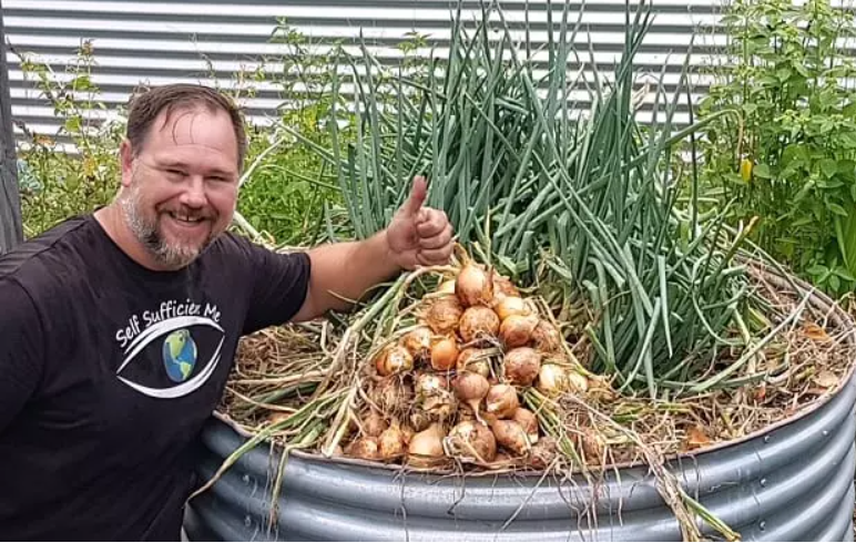 Growing onions in containers: expert tips for success