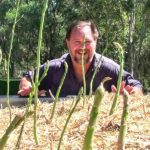 How to Grow a Ton of Asparagus