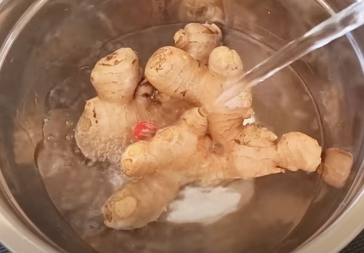 How to grow ginger with ginger from the store! 🫚🤩🌱 #ginger